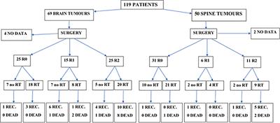 Do We Need Radiotherapy in Grade II Ependymoma?